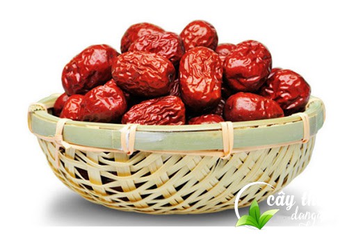 nhung-cong-dung-tuyet-voi-cua-tao-do